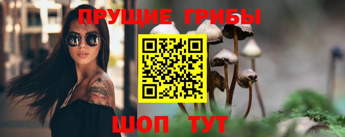купить наркотик  Вход с VPN  Всеволожск  Галлюциногенные грибы мицелий 